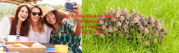 стафф Зеленокумск