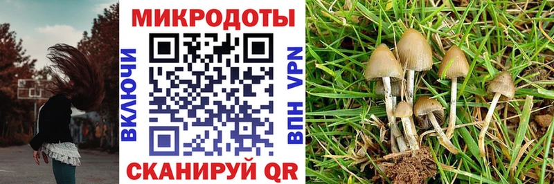 Псилоцибиновые грибы Magic Shrooms  Купить где  Старица 